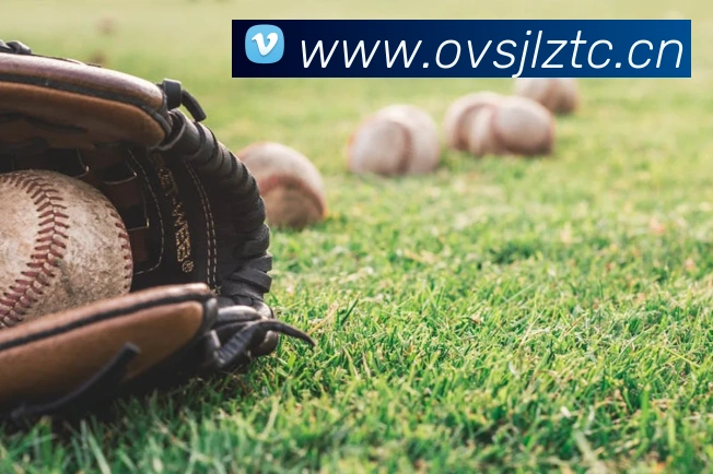 九游网官网网页版发展历程